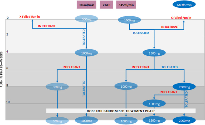 Implementation of Metformin Therapy to Ease Decline of Kidney Function in Polycystic Kidney Disease (IMPEDE-PKD): study protocol for a phase III, multi-centre, randomized, placebo-controlled trial evaluating the long-term efficacy of metformin in slowing the rate of kidney function decline in patients with autosomal dominant polycystic kidney disease.