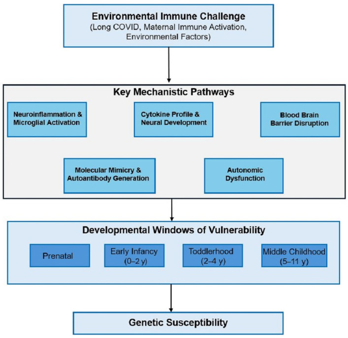 Theoretical Framework and Methodological Approach for Investigating Potential Associations Between Long COVID and Autism Spectrum Disorder Prevalence.