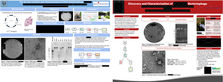 Coupling discovery-based learning and apprenticeship research experiences: a novel undergraduate laboratory course model.