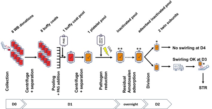 Platelet component safety in the era of new advancements in bacterial screening and pathogen reduction: A congress report of the 2024 ISBT Transfusion-Transmitted Infectious Diseases Working Party, Bacteria Subgroup.