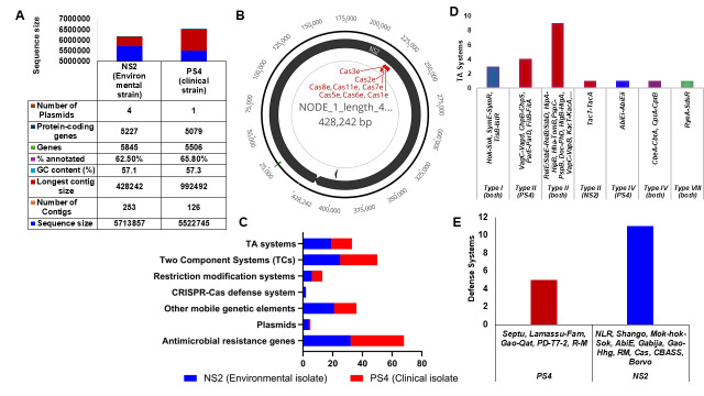 Snapshot of Defense Systems in Multidrug Resistant <i>Klebsiella pneumoniae</i>.