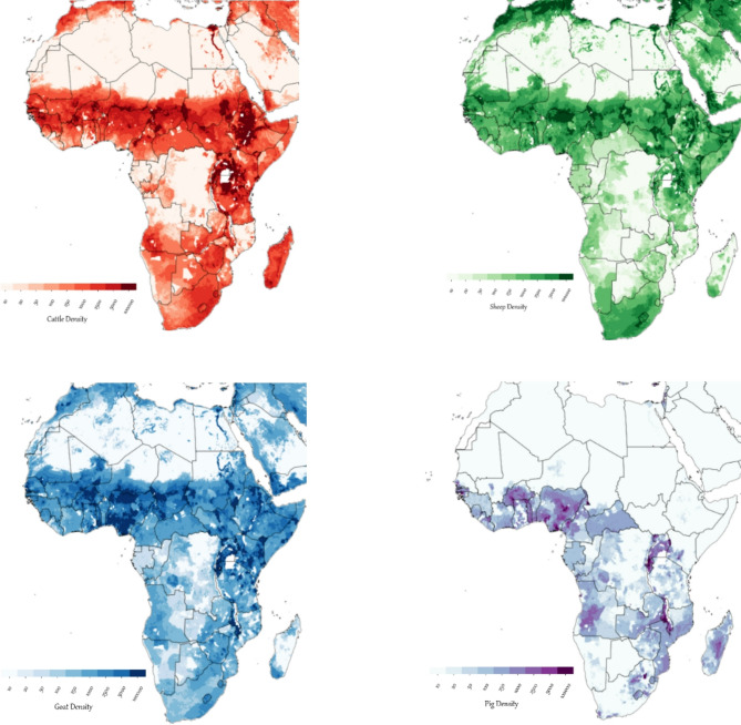 A review of zoonotic chlamydiae species in Africa: assessing their burden and potential impact through One Health perspective.