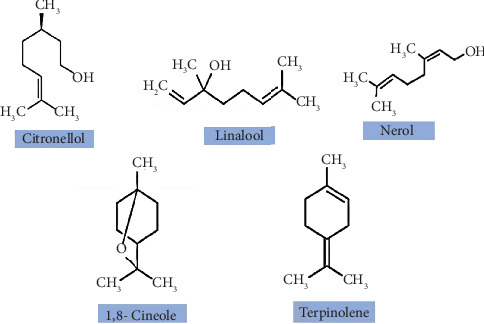 Therapeutic Potentials of Jamun (<i>Syzygium cumini</i>) and Its Integration Into Modern Food Technologies: A Review.