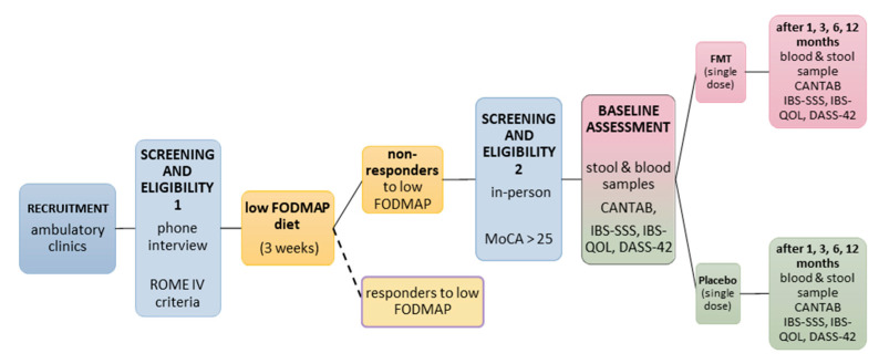 The Effect of Faecal Microbiota Transplantation on Cognitive Function in Cognitively Healthy Adults with Irritable Bowel Syndrome: Protocol for a Randomised, Placebo-Controlled, Double-Blinded Pilot Study.