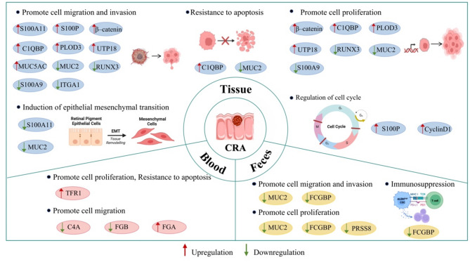 Unveiling the protein landscape for early detection of colorectal precancerous lesions.