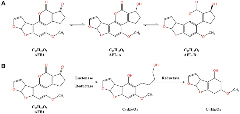 A Review of Research Progress on the Microbial or Enzymatic Degradation and Mechanism of Aflatoxin B1.