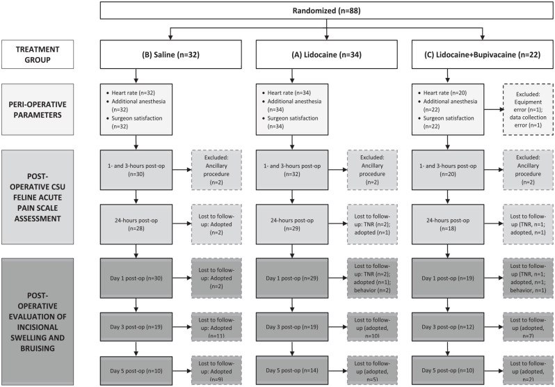 Evaluation of local anesthetic blockade in cats undergoing castration in a high-quality, high-volume spay/neuter setting: a randomized, blinded, placebo-controlled trial.