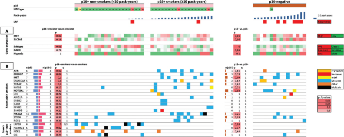 Mutational profile of oropharyngeal squamous cell carcinoma in relation to HPV, tobacco smoking and prognosis with validation in the DAHANCA 19 randomized trial.