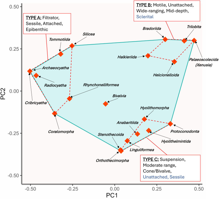 Changes in metazoan functional diversity across the Cambrian Radiation and the first Phanerozoic mass extinction: the Cambrian Sinsk Event.