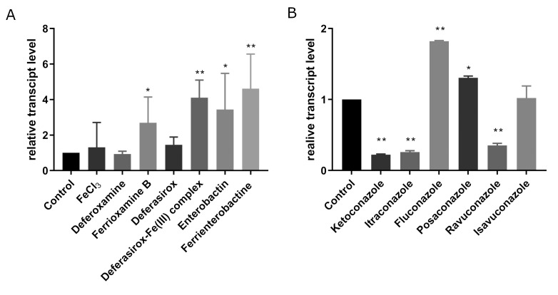 Role of the putative <i>sit1</i> gene in normal germination of spores and virulence of the <i>Mucor lusitanicus</i>.