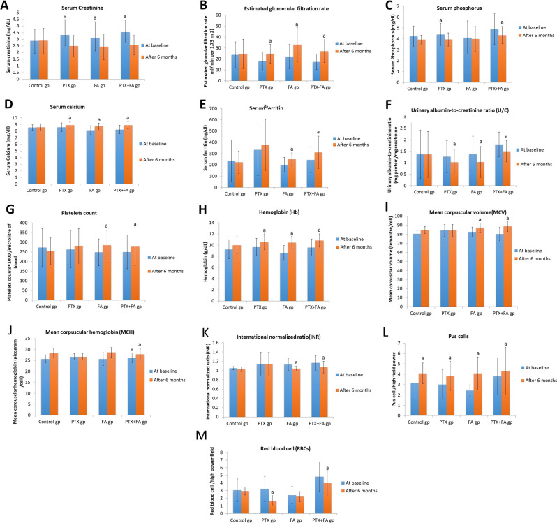 The potential adding therapeutic effect of pentoxifylline and/or folic acid for chronic kidney disease patients: randomized controlled trial.