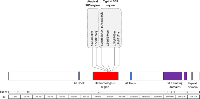 Schinzel-Giedion syndrome: communication, feeding and motor skills in 16 individuals.