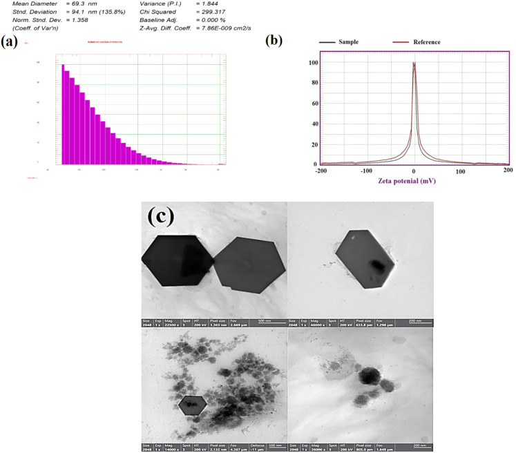 Green synthesis of gamma rays-induced melanin-based bismuth oxide nanoparticles for evaluation of the antibacterial and anti-virulence activities against extra-intestinal pathogenic bacteria.