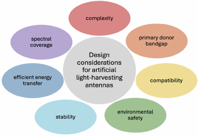 Photophysics of plasmonically enhanced self-assembled artificial light-harvesting nanoantennas.