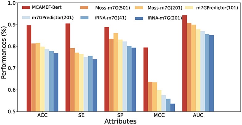 MCAMEF-BERT: an efficient deep learning method for RNA N7-methylguanosine site prediction via multi-branch feature integration.