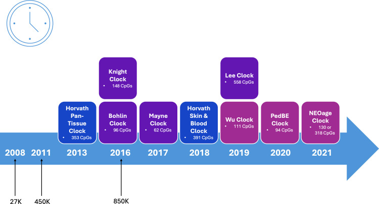 Using epigenetic clocks in environmental epigenetics: recommendations for estimating biological aging in perinatal and pediatric samples.
