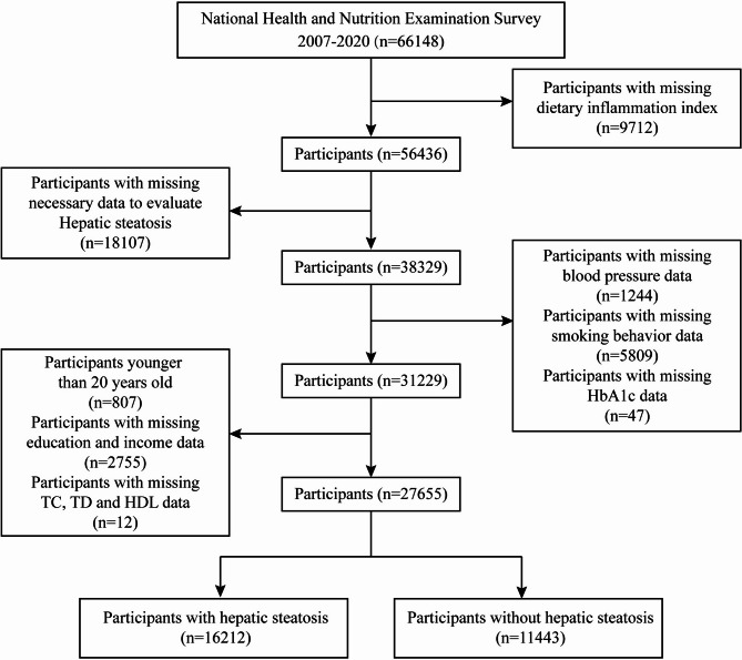 Association between dietary inflammatory index and hepatic steatosis: cross-sectional evidence from the NHANES 2007-2020.