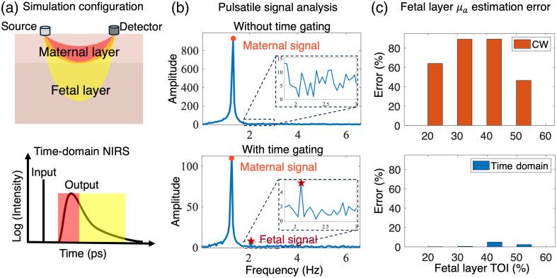 Noninvasive monitoring of fetal tissue oxygenation level using time-domain NIRS.