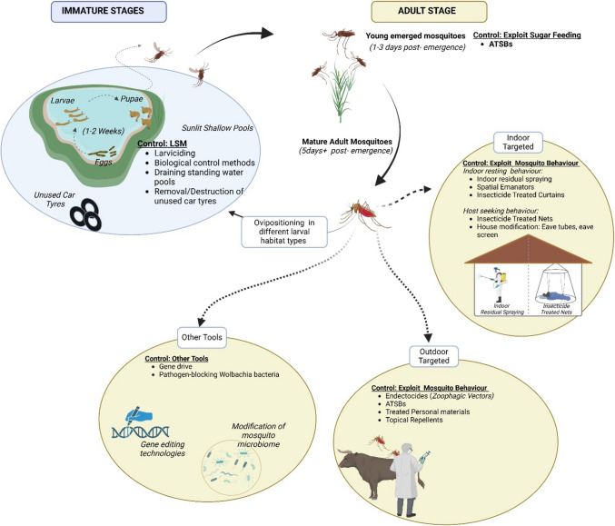 Know your enemy: understanding mosquito biology to advance malaria elimination in Africa.