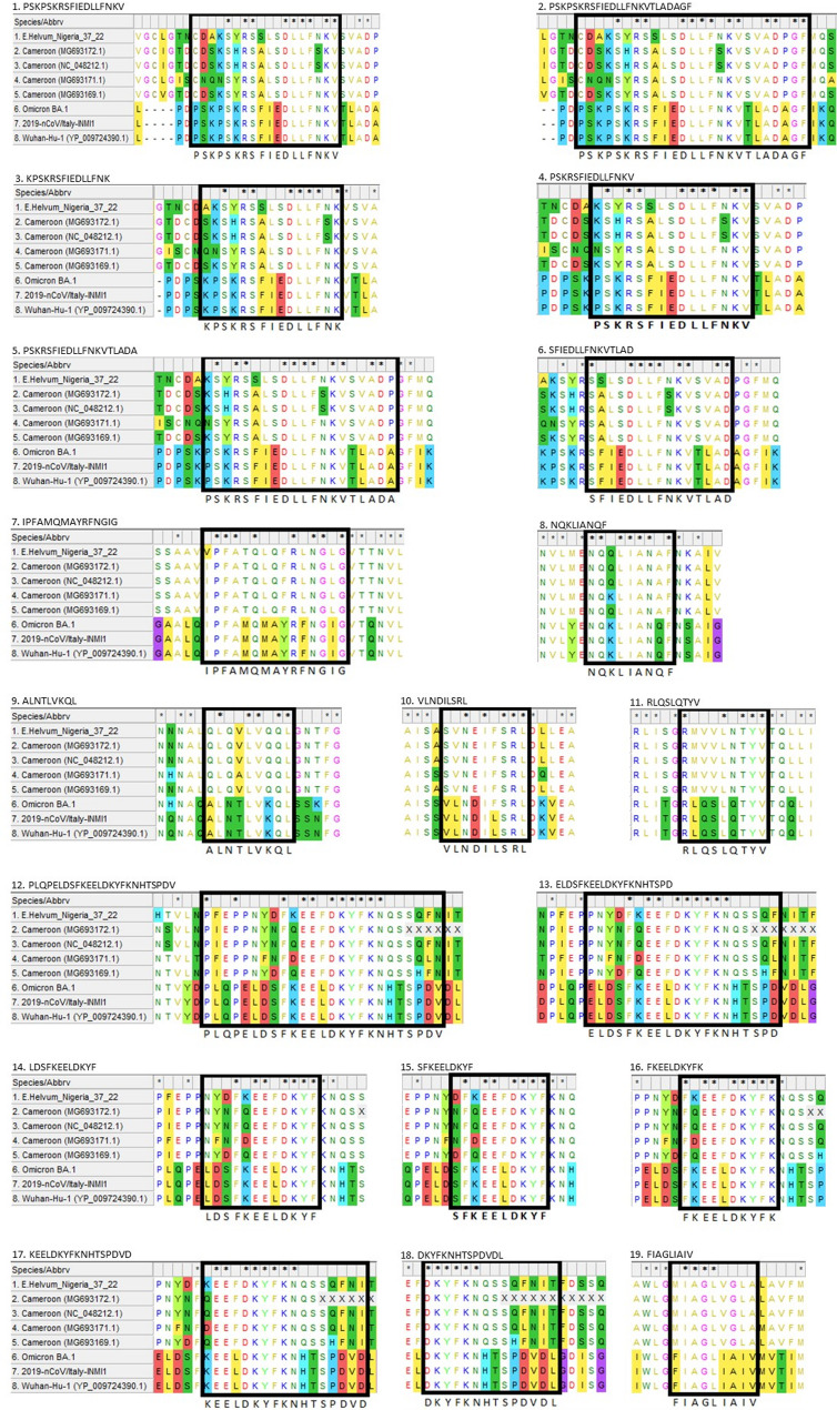 Cross-neutralising antibodies to SARS-CoV-2 in sera from straw-coloured fruit bats (Eidolon helvum) in Nigeria.