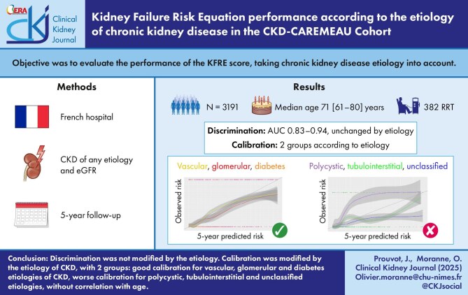 Kidney Failure Risk Equation performance according to the etiology of chronic kidney disease in the CKD-CAREMEAU cohort.