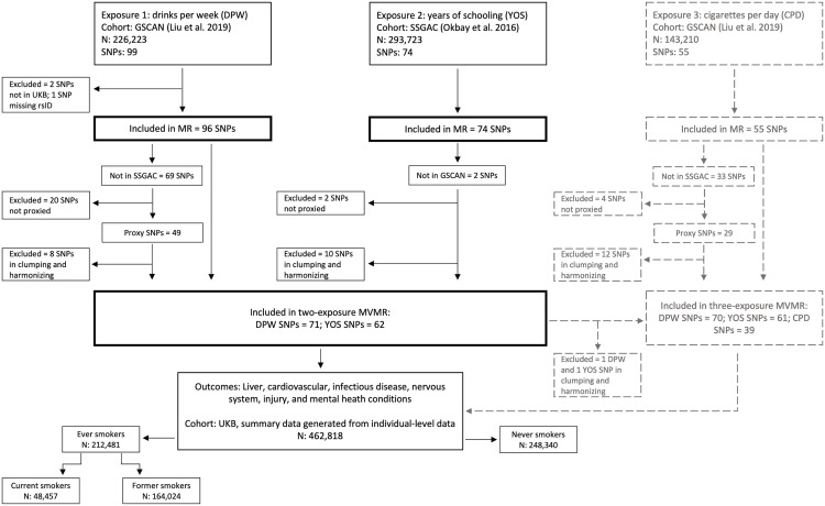 Understanding the alcohol harm paradox: A multivariable mendelian randomization approach.