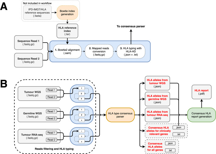 consHLA: a next generation sequencing consensus-based HLA typing workflow.