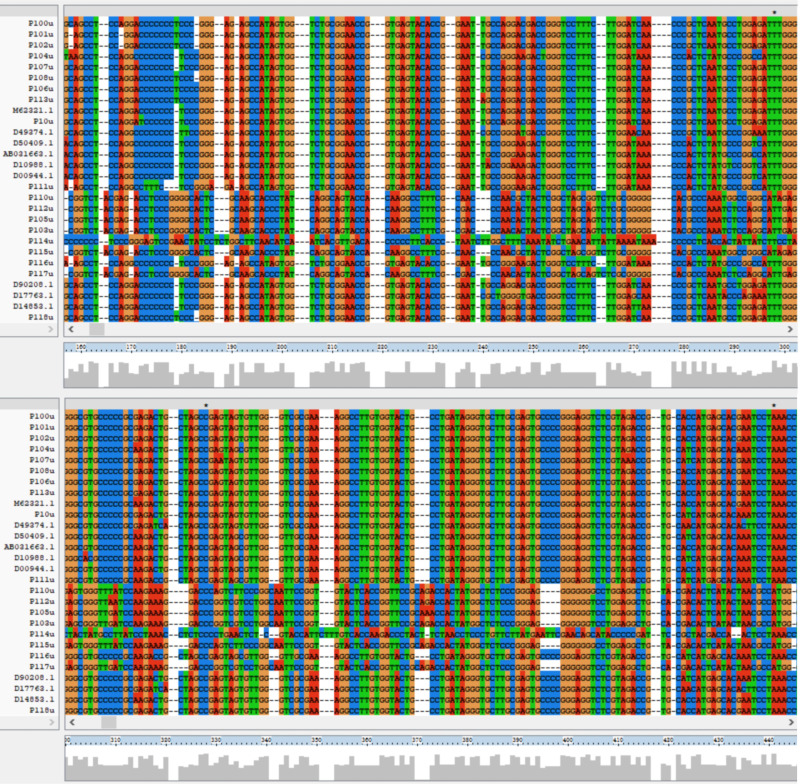 Genotype Distribution and Migration Patterns of Hepatitis C Virus in Shandong Province, China: Molecular Epidemiology and Phylogenetic Study.
