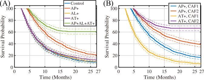 Ordinary differential equation model of cancer-associated fibroblast heterogeneity predicts treatment outcomes.