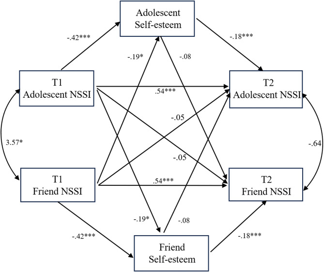 NSSI contagion in adolescent friendships: exploring the impact of peer influence.