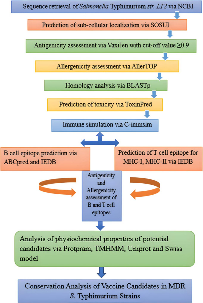 Reverse vaccinology-based identification and in silico characterization of immunogenic membrane proteins of Salmonella Typhimurium as novel vaccine targets against multidrug-resistant infections.