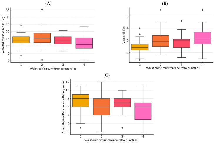 Waist-Calf Circumference Ratio Is Associated with Body Composition, Physical Performance, and Muscle Strength in Older Women.