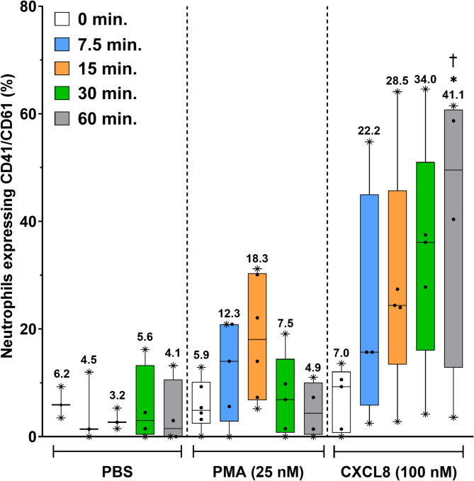 Neutrophil expression of CD41/CD61 complex contributes to their adhesiveness in both healthy individuals and heart failure patients.