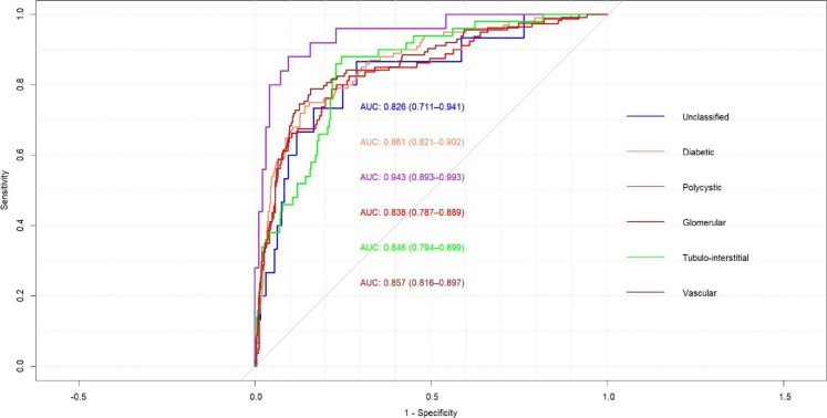 Kidney Failure Risk Equation performance according to the etiology of chronic kidney disease in the CKD-CAREMEAU cohort.
