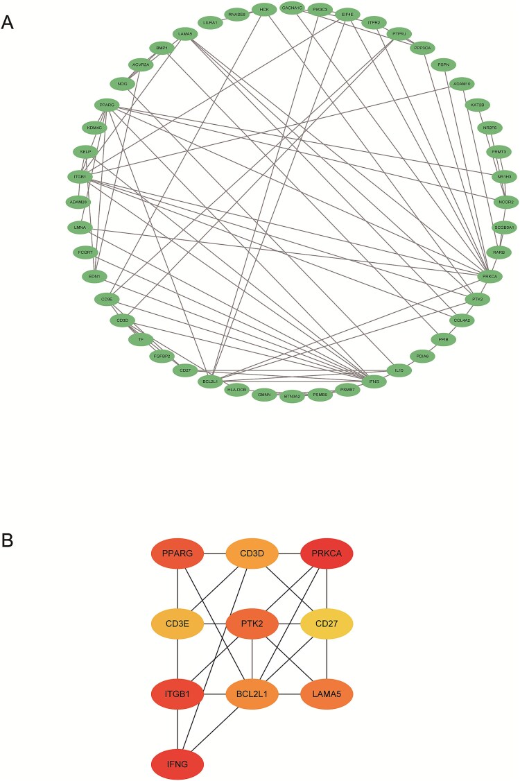 Identifying therapeutic targets for erectile dysfunction in the European population using genome-wide Mendelian randomization.