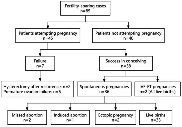 Impact of ovarian cystectomy on oncological and reproductive outcomes in borderline ovarian tumors: a retrospective study from a tertiary center.