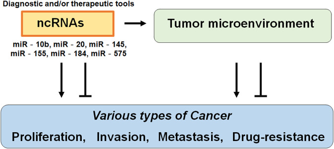 Association among Noncoding-RNAs, APRO Family Proteins, and Gut Microbiota in the Development of Breast Cancer.