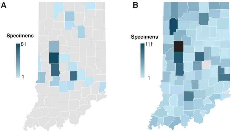 ﻿Checklist of Rust Fungi (Basidiomycota, Pucciniales) and their hosts in Indiana, United States of America.
