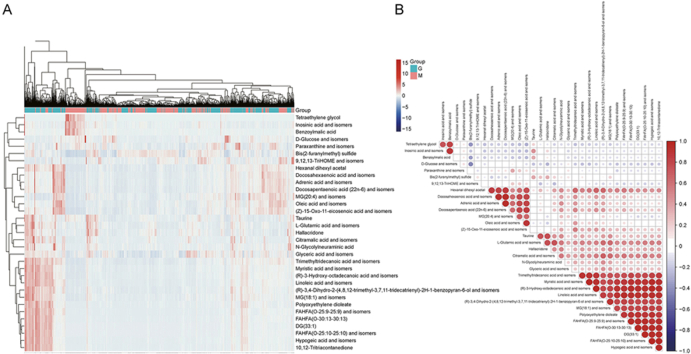 Spatial metabolomics combined with machine learning in colon cancer diagnosis research.