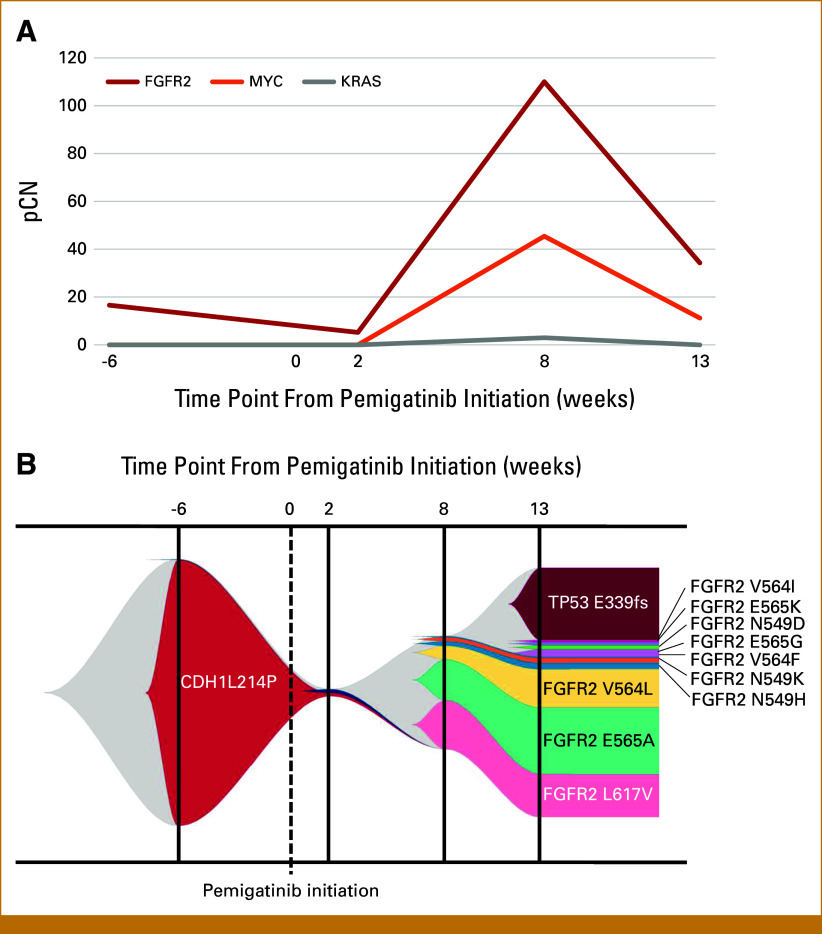 Clinical Significance of Extrachromosomal DNA in <i>FGFR2</i>-Amplified Gastric Cancer: Therapeutic Implications From Clinical Experience.