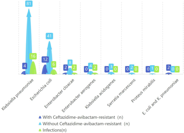 From Screening to Strategy: Targeted Carbapenem-Resistant Enterobacteriaceae (CRE) Infection Prediction After Endoscopic Retrograde Cholangiopancreatography (ERCP).