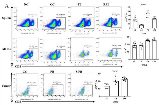 Gut-derived <i>Faecalibaculum rodentium</i> exerts anti-cancer effects on colorectal cancer by modulating PDPN-CLEC-2 signaling pathway.