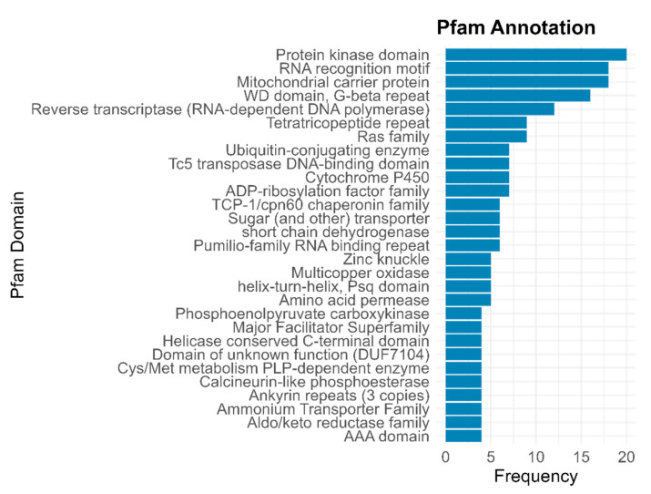 Evaluating the Assembly Strategy of a Fungal Genome from Metagenomic Data: <i>Solorina crocea</i> (Peltigerales, Ascomycota) as a Case Study.