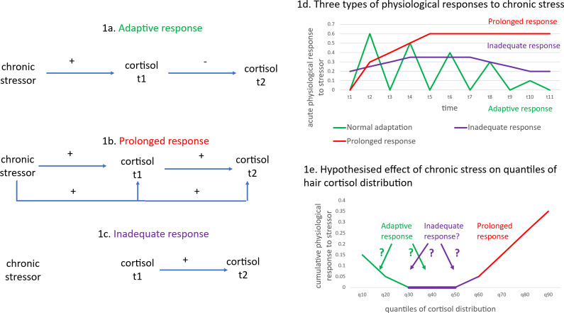 Measuring resilience to chronic pain in population surveys using hair cortisol.