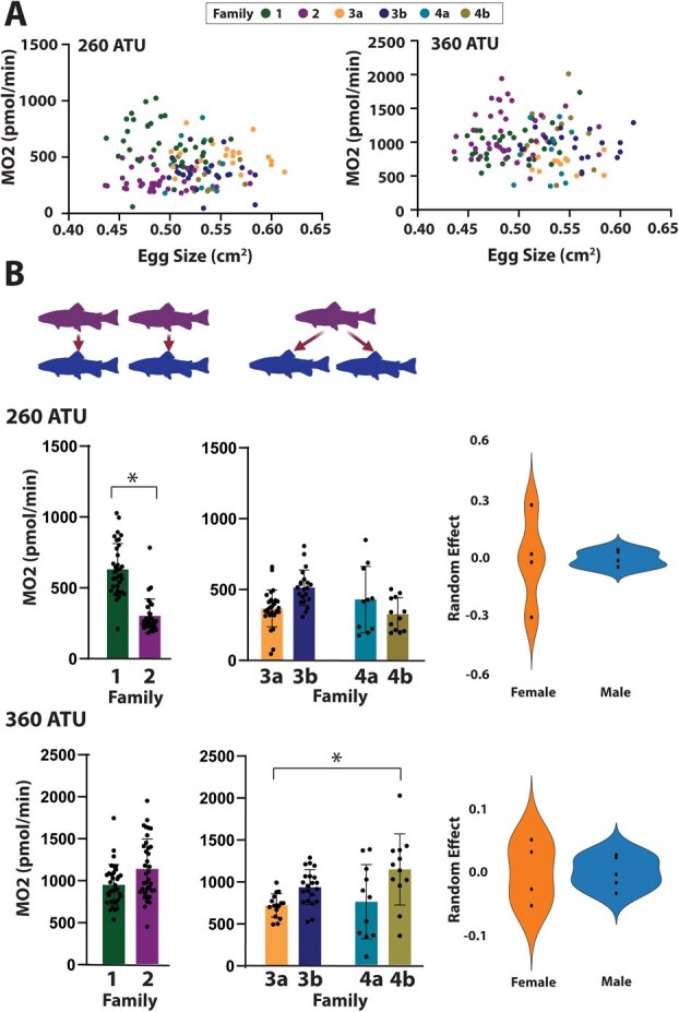 Influence of egg size and parental genetics on the metabolic rate of Chinook and pink salmon embryos.