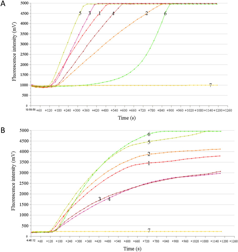Establishment and comparison of RF-RAA and qPCR for rapid detection of Chinese soft-shelled turtle adenovirus (CSTAdV).