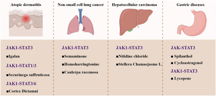 An exhaustive examination of the research progress in identifying potential JAK inhibitors from natural products: a comprehensive overview.