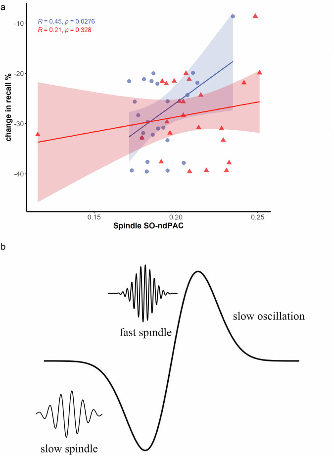 Offline consolidation mechanisms of the retrieval practice effect: an analysis based on EEG signal characteristics.