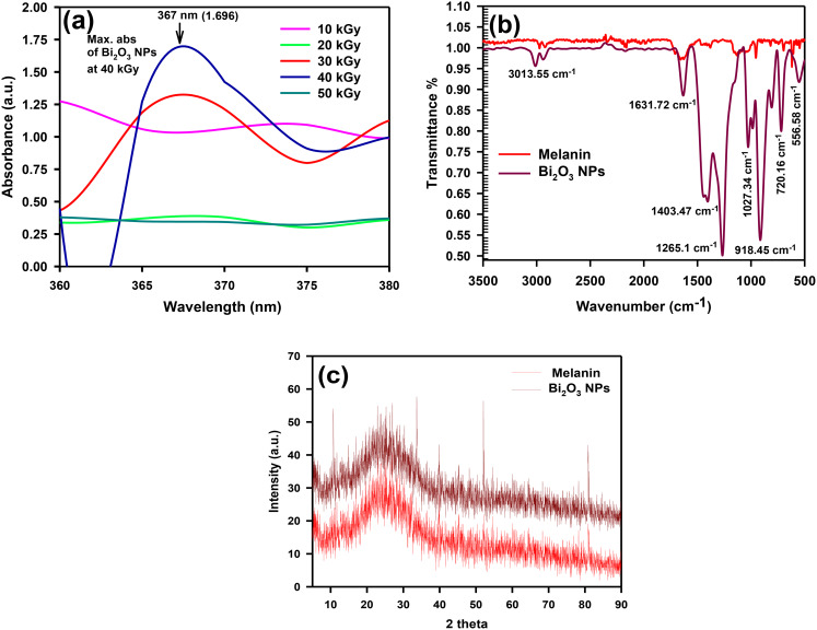 Green synthesis of gamma rays-induced melanin-based bismuth oxide nanoparticles for evaluation of the antibacterial and anti-virulence activities against extra-intestinal pathogenic bacteria.