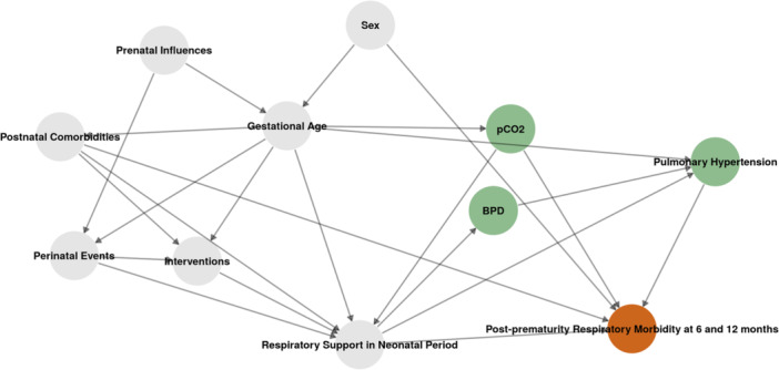 Risk Factors for Severe Respiratory Morbidity at 2 Years of Life in Children Born Extremely Preterm With Bronchopulmonary Dysplasia.